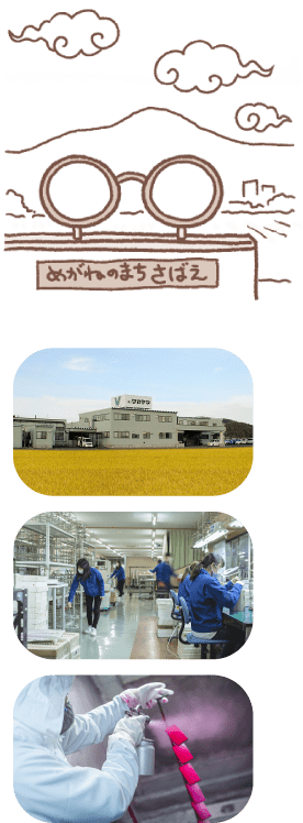 株式会社ワカヤマとは?