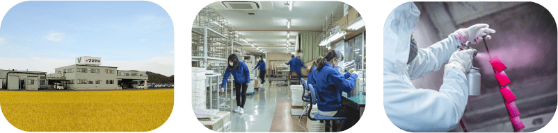 株式会社ワカヤマとは?