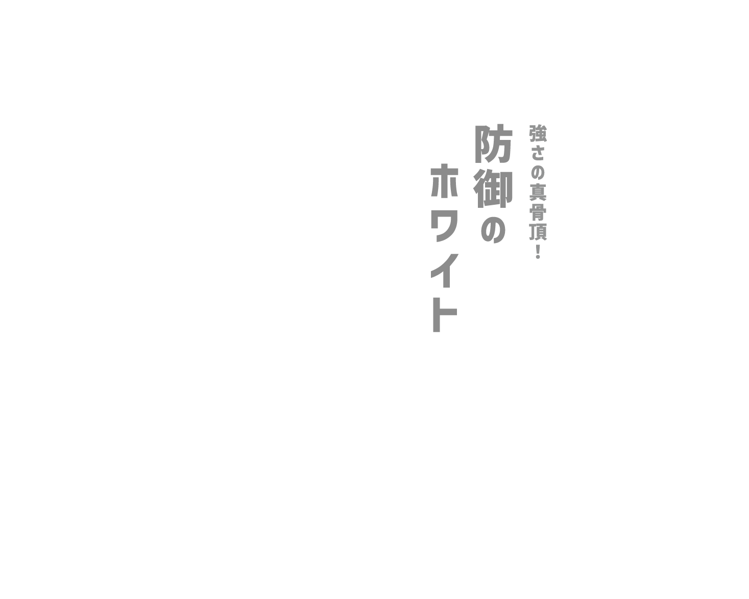 強さの真骨頂! 防御のホワイト